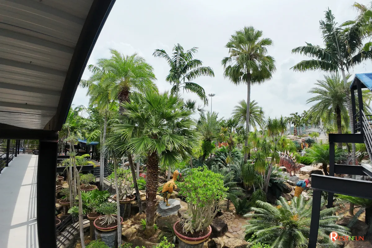 The bridge for walking and viewing Nong Nooch Botanical Garden